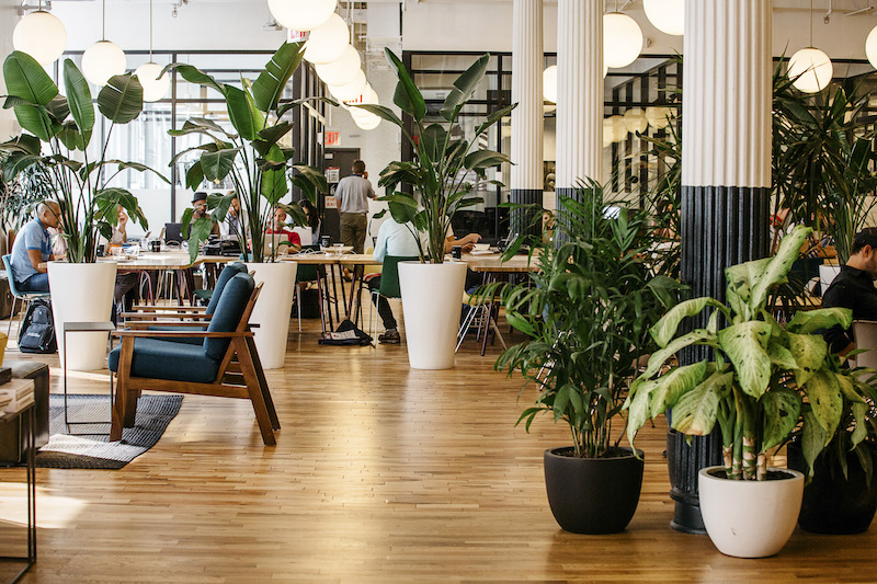 A work space at the headquarters of WeWork, a start-up that rents office space to young entrepreneurs, in New York.